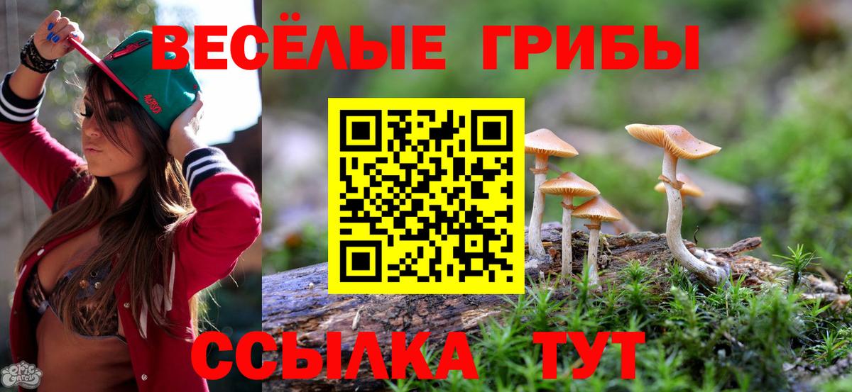 Псилоцибиновые грибы мухоморы Кировск